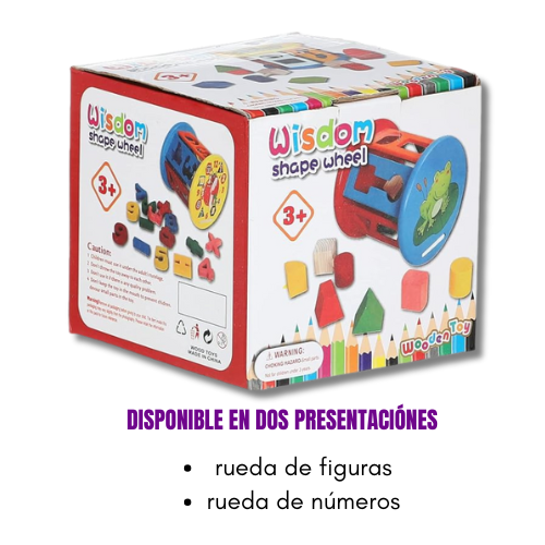 Rueda didácticas para niños