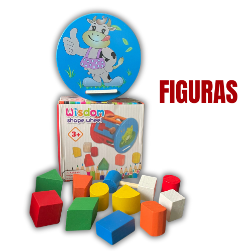 Rueda didácticas para niños